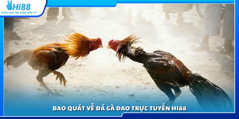 Tổng quan chi tiết về hình thức đá gà dao trực tuyến tại Hi88
